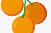 柑橘剪枝整形技術（柑橘高產剪枝技術）
